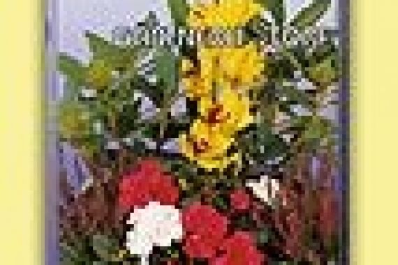 Rašelina zahradní BIO - 75l