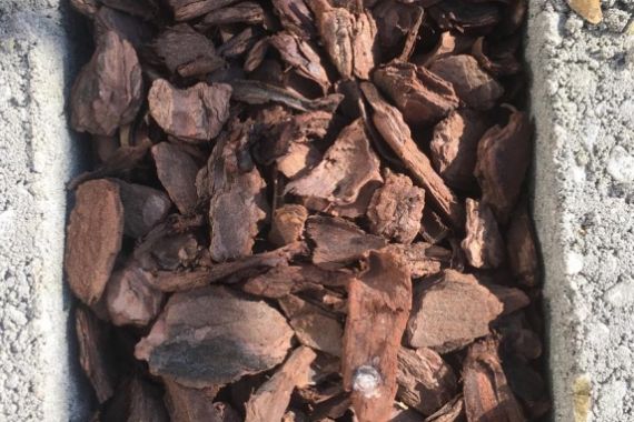 Kůra drcená piniová 15 - 25 mm - 50l