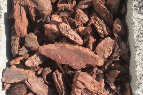 Kůra drcená piniová 25 - 40 mm - 50l