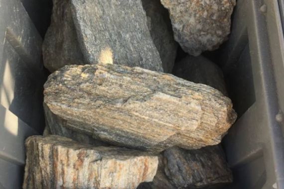 max-f533-kamenna-kura-2-8cm