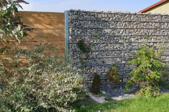 max-f763-kamenna-kura-6-3-15-cm-3