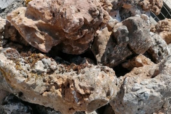 max-f856-vapenec-derovany-20-50cm-2