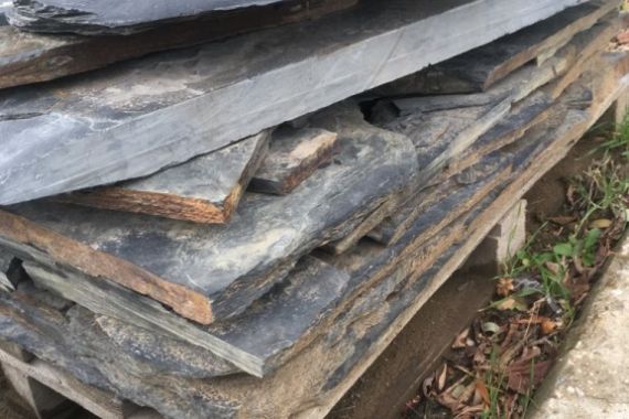 max-f564-bridlice-tl-5-10cm