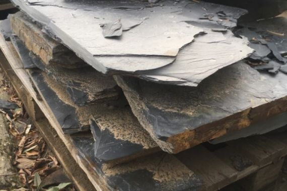 max-f566-bridlice-tl-5-10cm-2