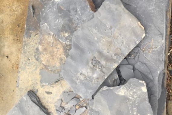 max-f567-bridlice-tl-5-10-cm-3