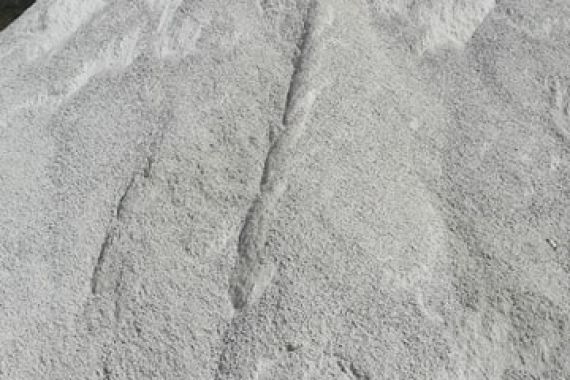 max-f781-dk-0-4-svetla-1